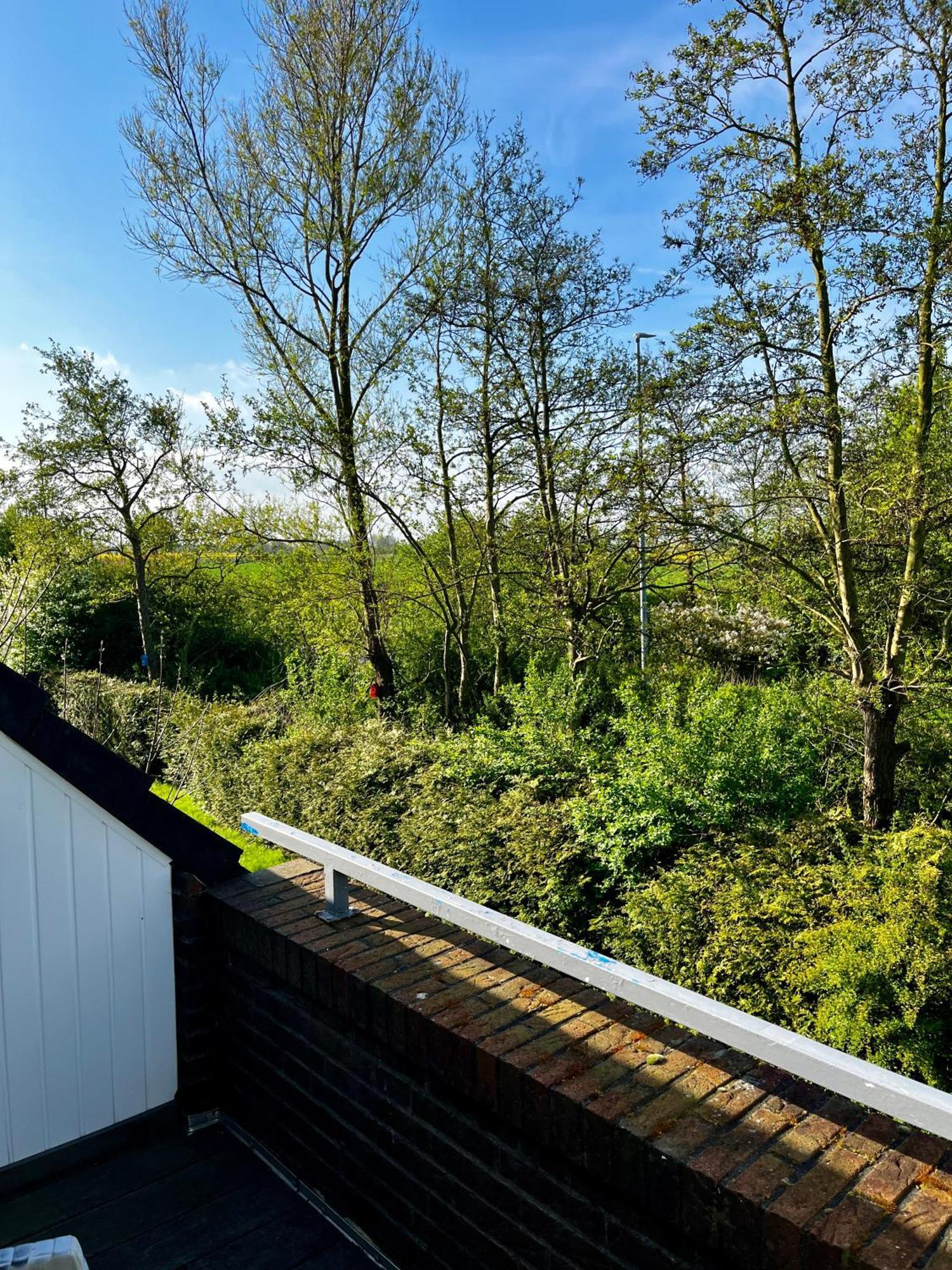 Apartment Bakenweg Fuer Maximal 4 Personen ノルデン エクステリア 写真